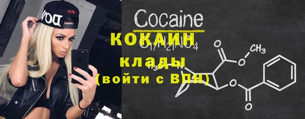 PSILOCYBIN Бронницы