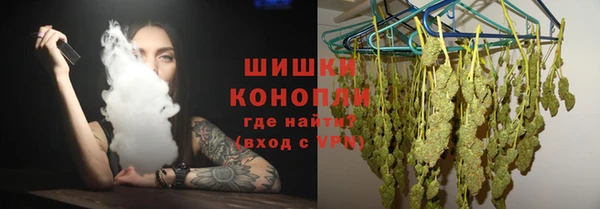 mdpv Бородино