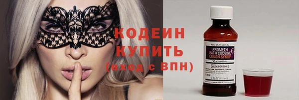ПСИЛОЦИБИНОВЫЕ ГРИБЫ Дмитриев