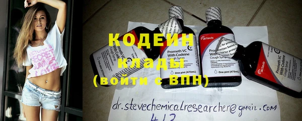 mdpv Бородино