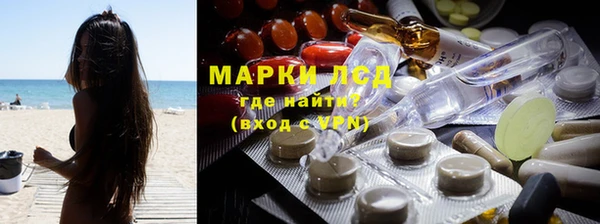 mdpv Бородино