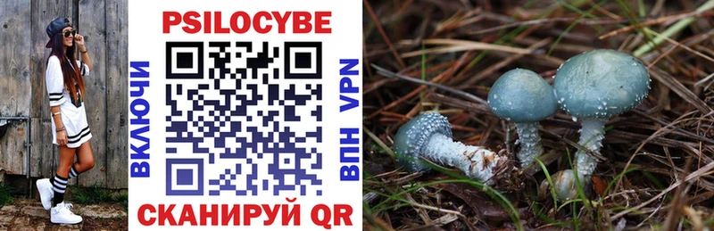 Псилоцибиновые грибы MAGIC MUSHROOMS  гидра как зайти  Озёрск  где продают наркотики 